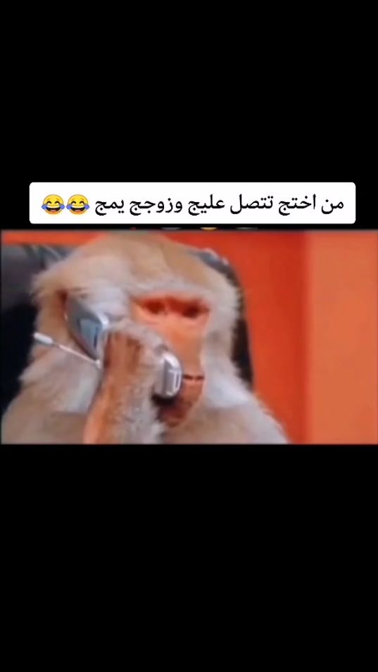 TikTok video thumbnail by abro_haider