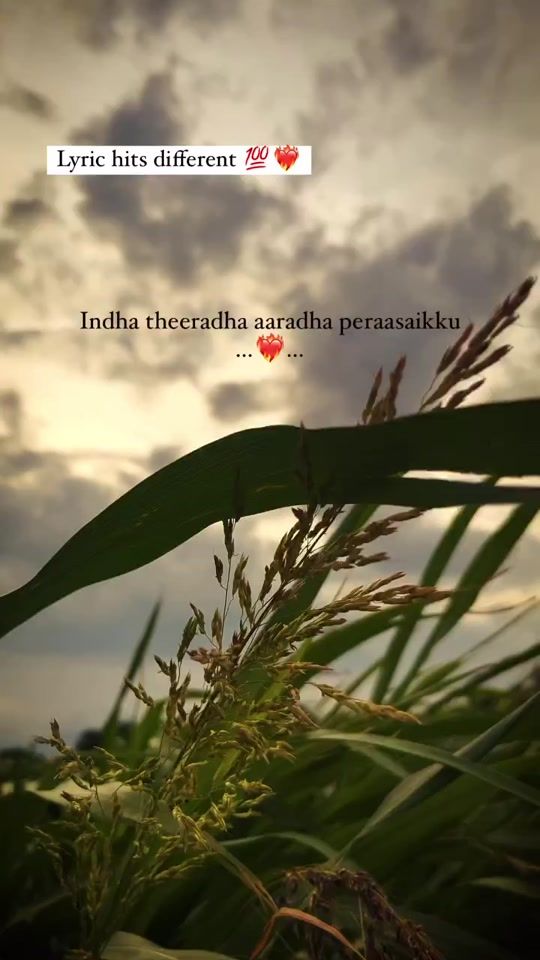 TikTok video thumbnail by tn_63_.maruthu._01