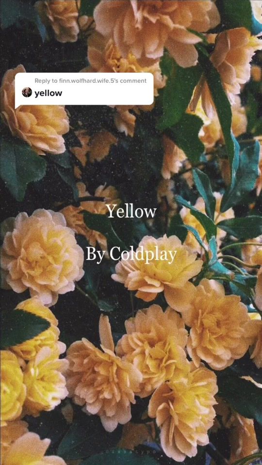 TikTok video thumbnail by 3.minute.sounds_