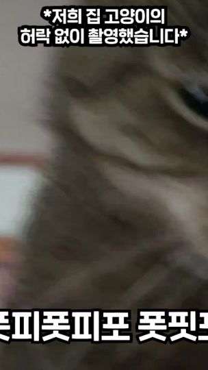 TikTok video thumbnail by dubbinglady