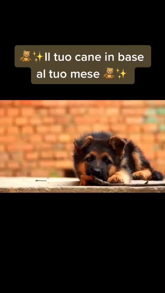 TikTok video thumbnail by very_b11