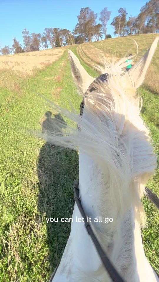 TikTok video thumbnail by eq_spamm