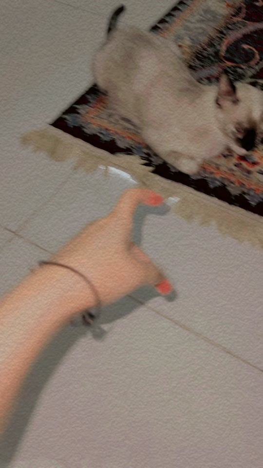 TikTok video thumbnail by mahiangel094