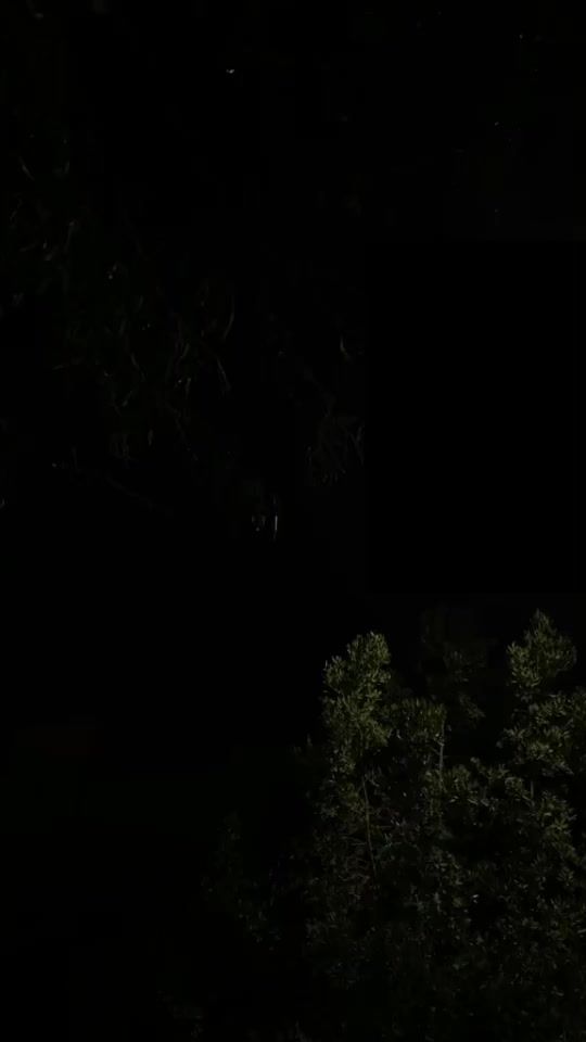 TikTok video thumbnail by no.li7