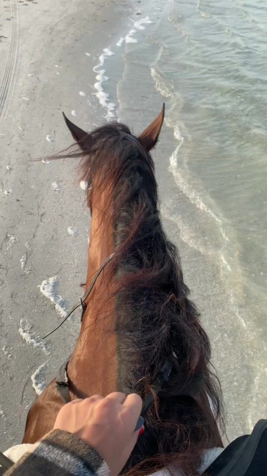 TikTok video thumbnail by smb5216