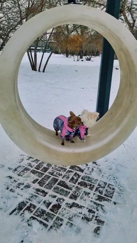 TikTok video thumbnail by eva_chihua