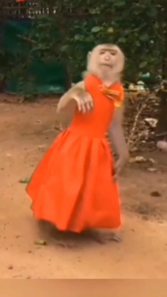 TikTok video thumbnail by irochka789