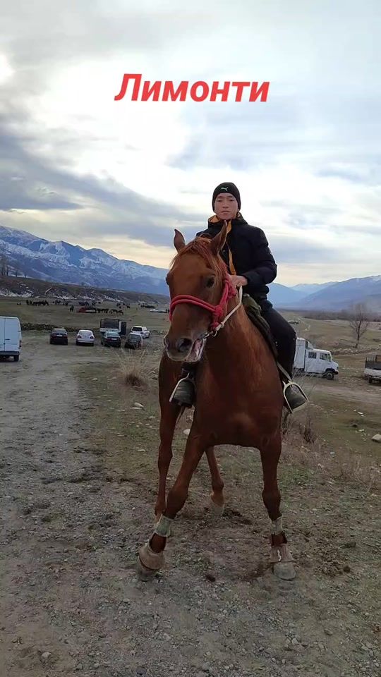 TikTok video thumbnail by nurdinov_bektur_