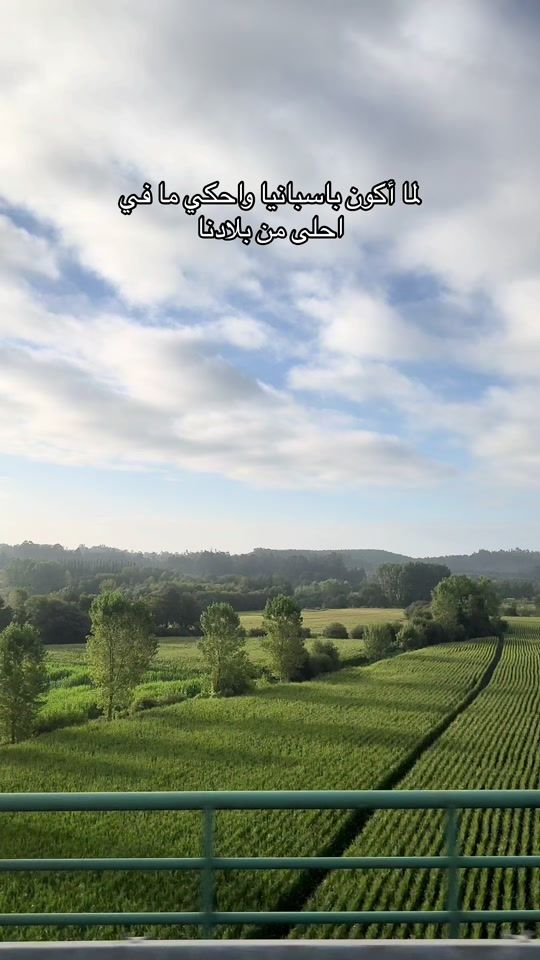 TikTok video thumbnail by boulos.y
