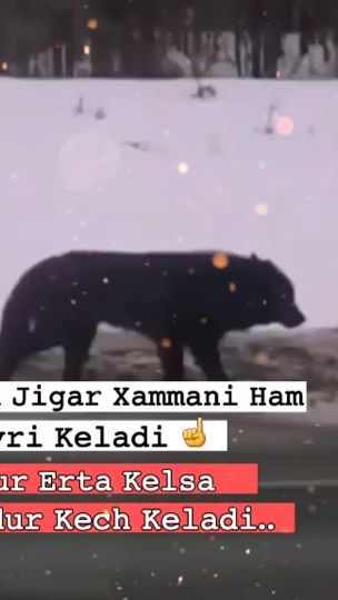 TikTok video thumbnail by dobry.77