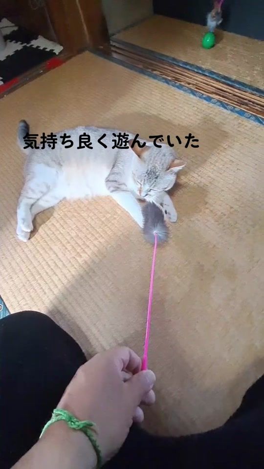 TikTok video thumbnail by 0126suzu