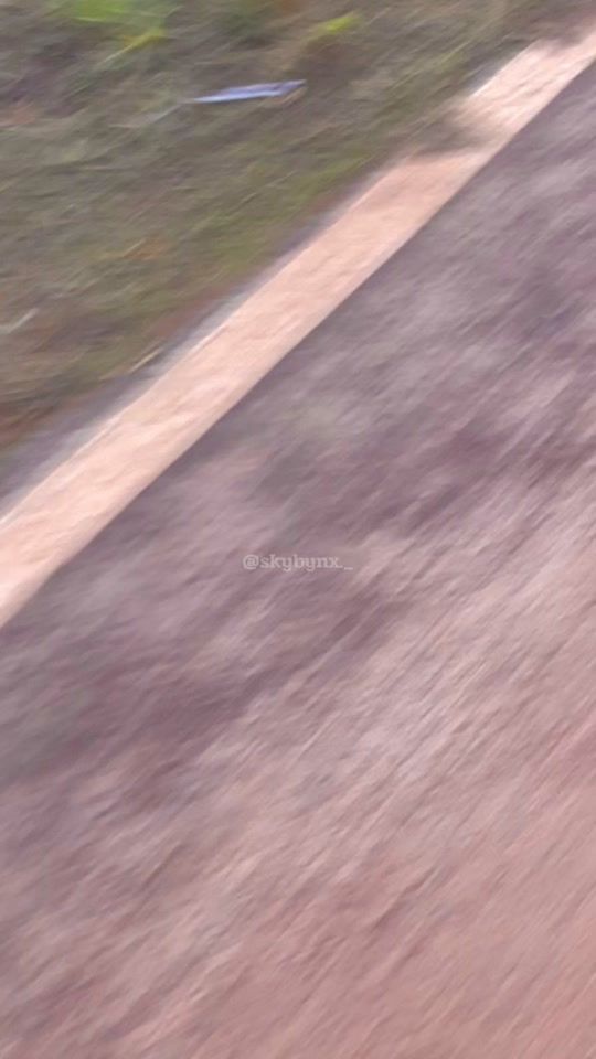 TikTok video thumbnail by skybynx._