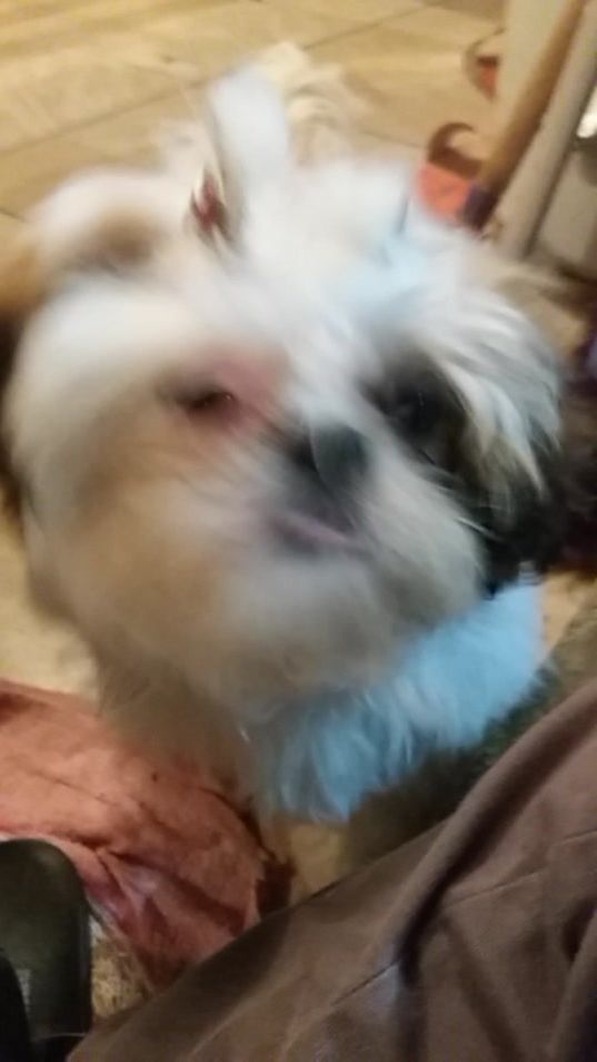 TikTok video thumbnail by israeloliveirabarros