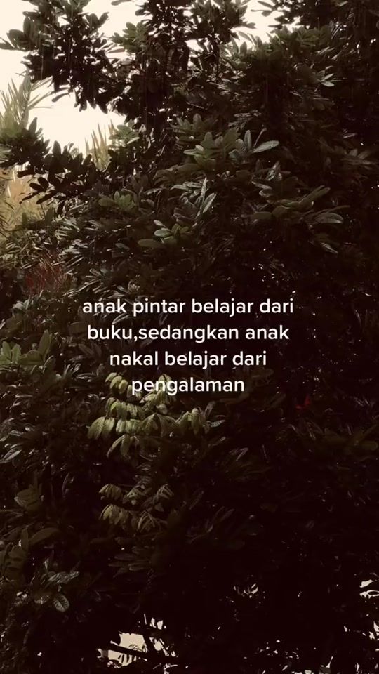 TikTok video thumbnail by aaazzxxy