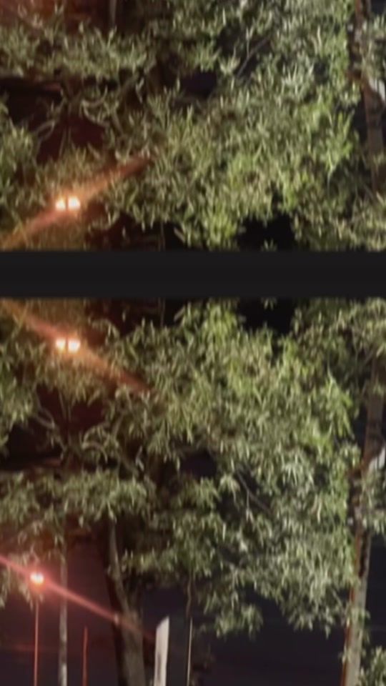 TikTok video thumbnail by bowy_04