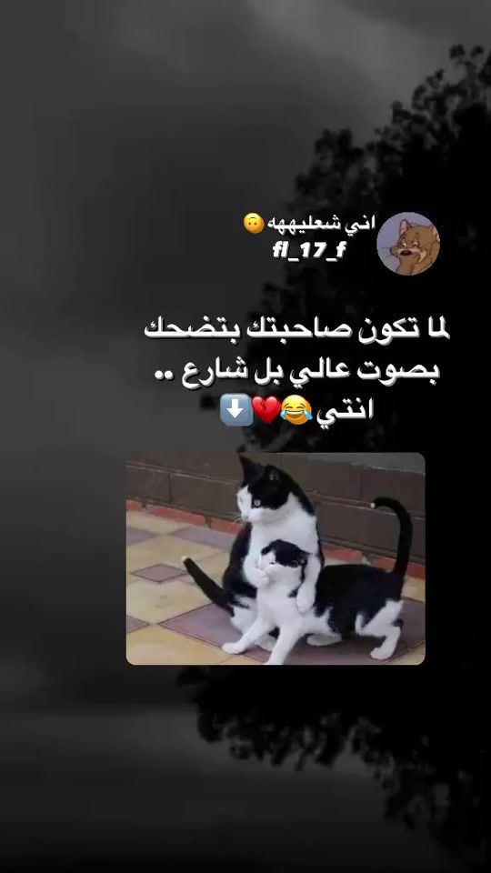 TikTok video thumbnail by fl_17_f