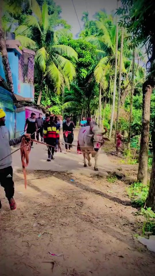 TikTok video thumbnail by md.kaled01