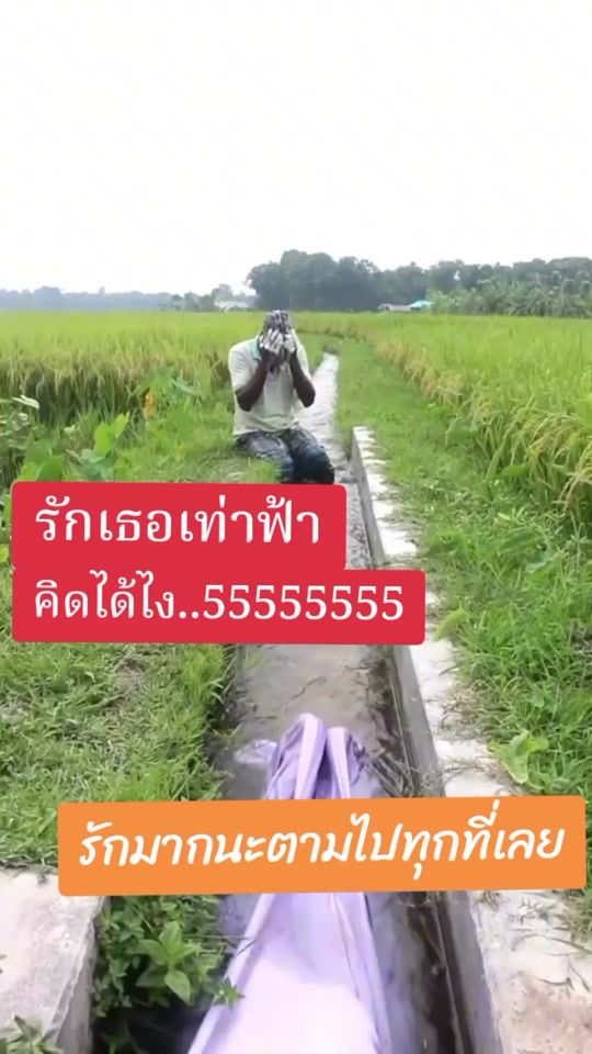 TikTok video thumbnail by daringrinda
