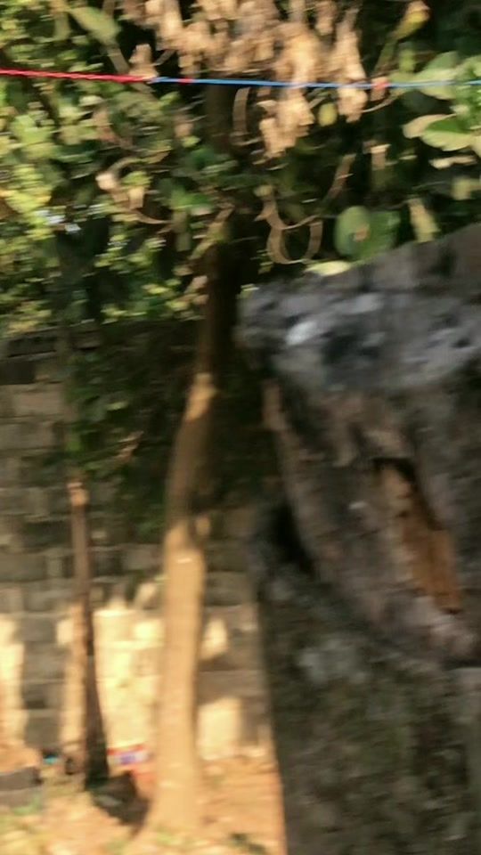 TikTok video thumbnail by seva8899488994