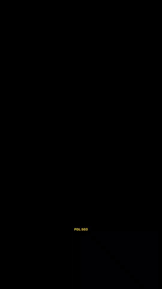 TikTok video thumbnail by pdl_503