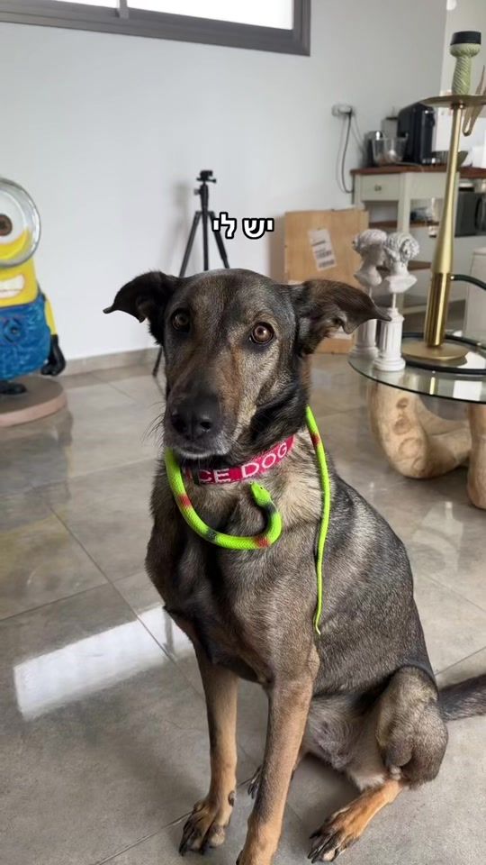 TikTok video thumbnail by maui_the_mal