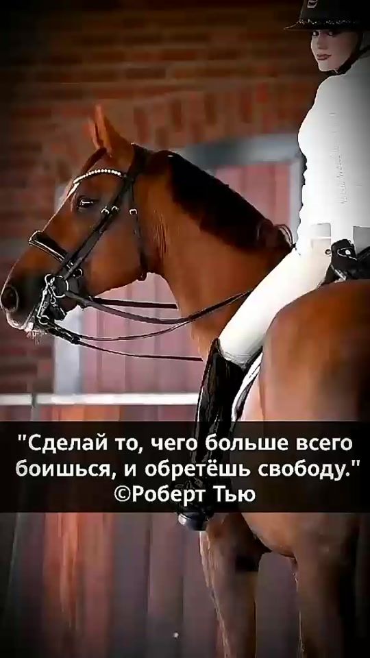 TikTok video thumbnail by horse_wrong_off