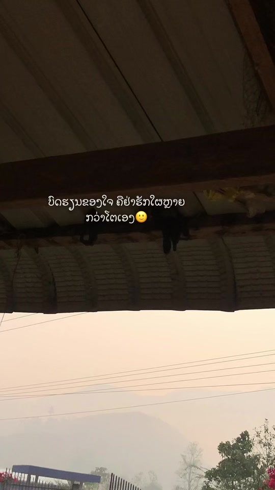 TikTok video thumbnail by non_1042