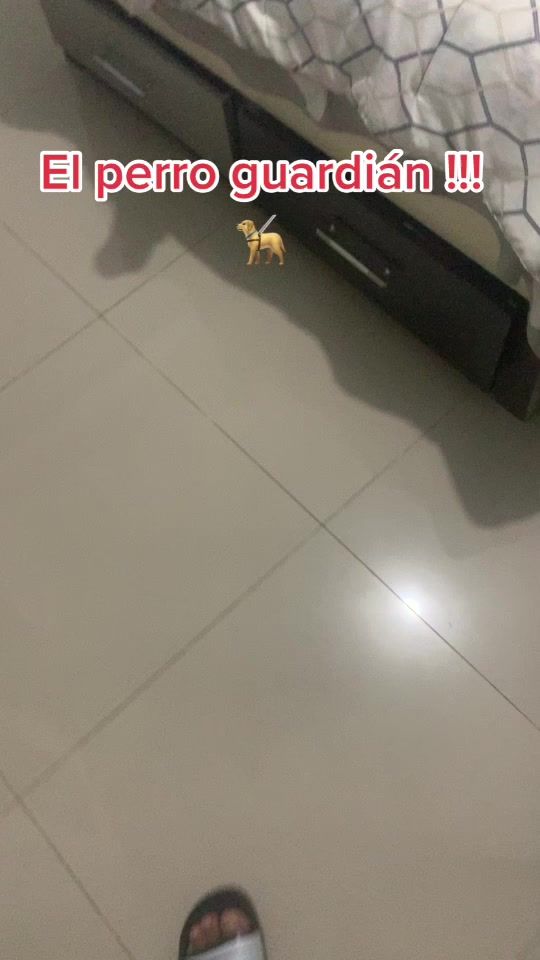 TikTok video thumbnail by charrakito_esperanzito