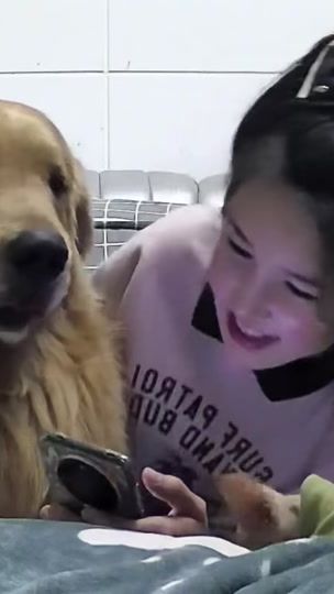 TikTok video thumbnail by ttzjsml