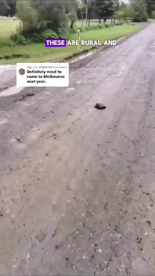 TikTok video thumbnail by crystal.world.aus