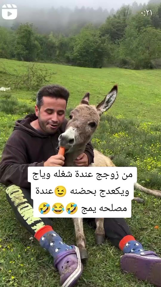 TikTok video thumbnail by saifo901