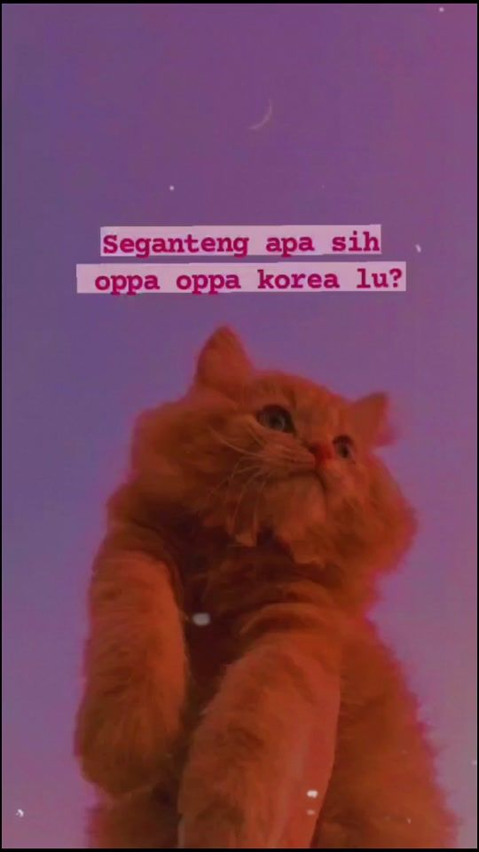 TikTok video thumbnail by ameliaaa753