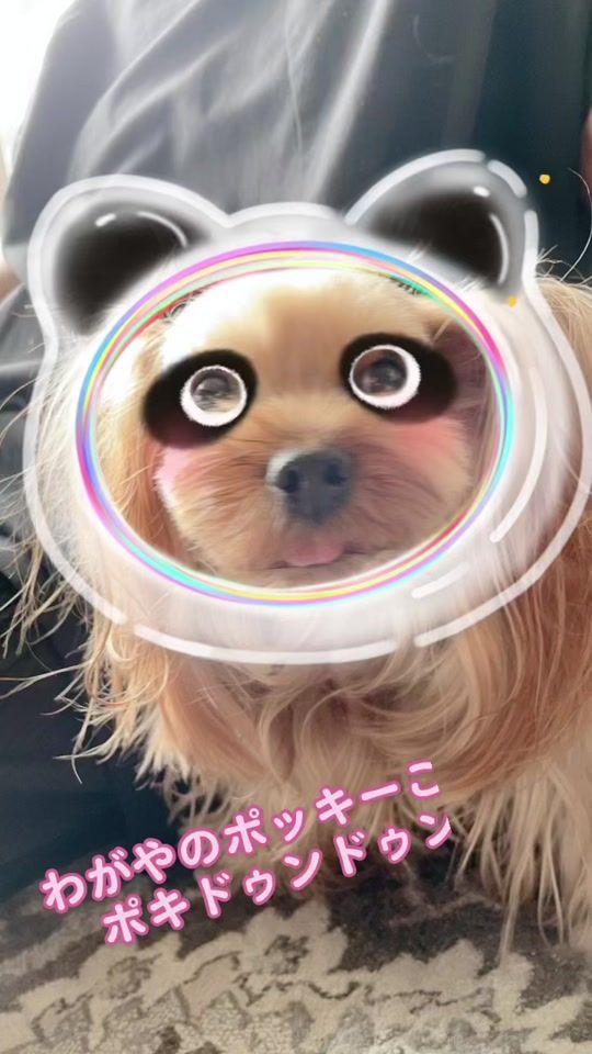 TikTok video thumbnail by miki_m_ando0403
