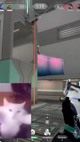 TikTok video thumbnail by schleepy111