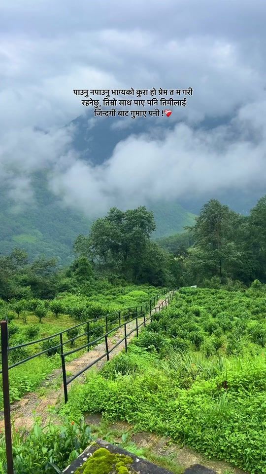TikTok video thumbnail by oneleaftree