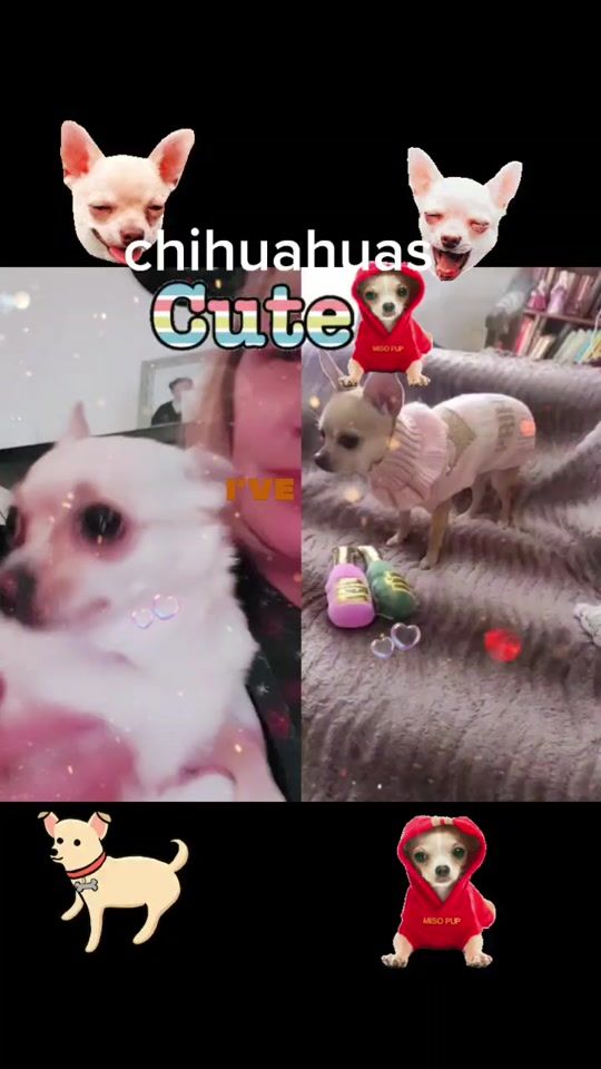 TikTok video thumbnail by mommawolf7770