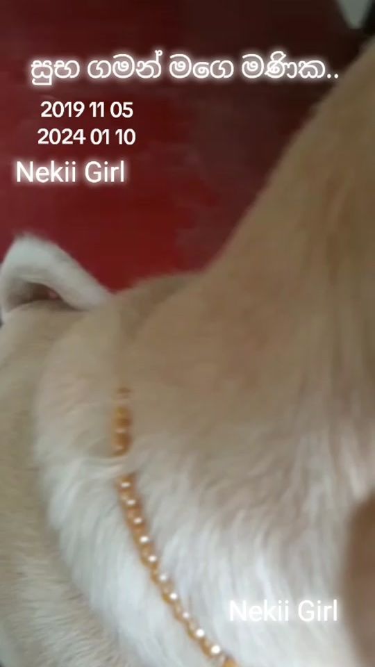 TikTok video thumbnail by nekiigirl