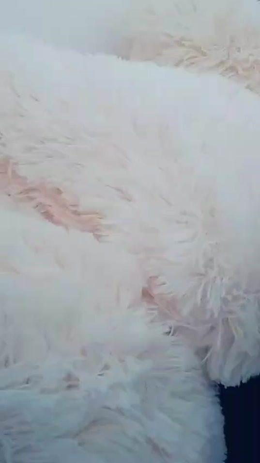 TikTok video thumbnail by fuuka3112