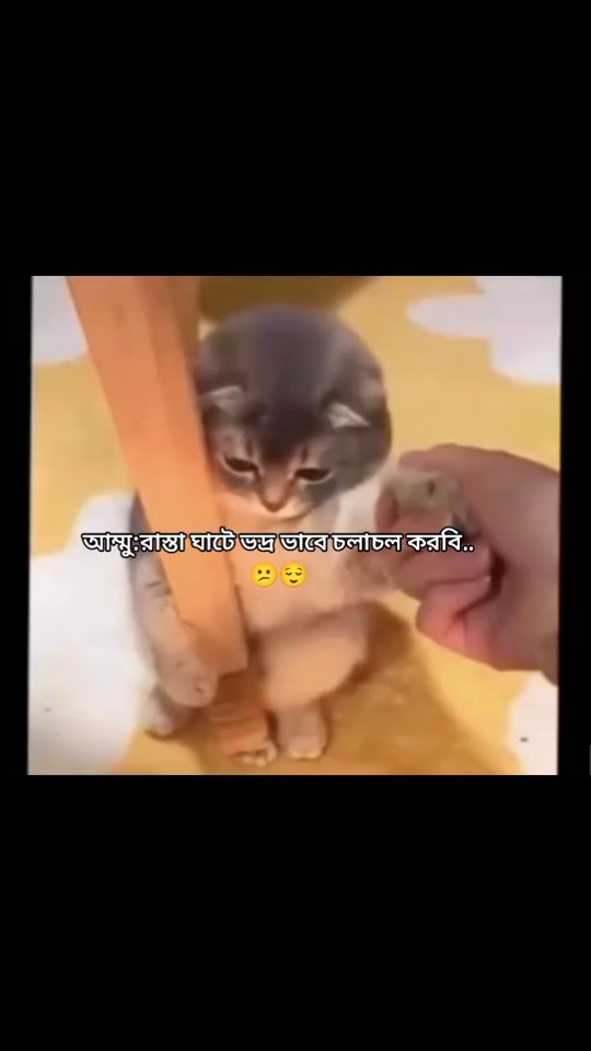 TikTok video thumbnail by queen_zannat45