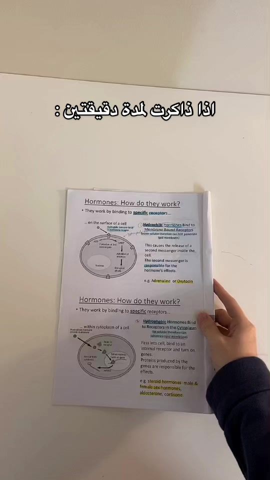 TikTok video thumbnail by m.a8rt