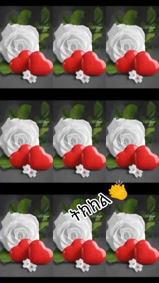 TikTok video thumbnail by wanala63