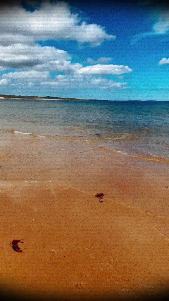 TikTok video thumbnail by nanakerryandtheloonies
