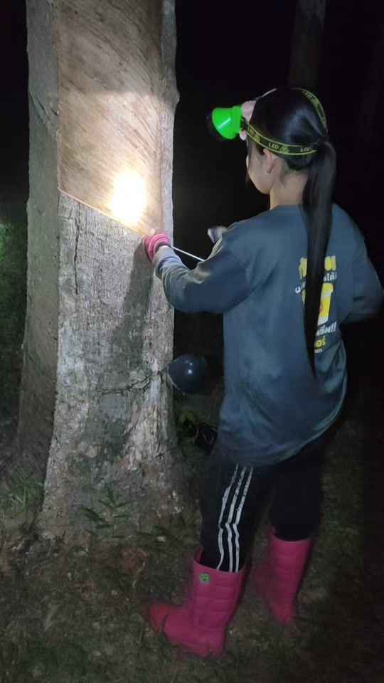 TikTok video thumbnail by tukta51600