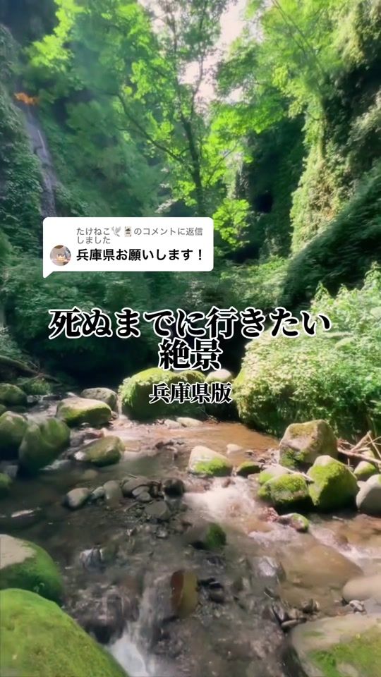 TikTok video thumbnail by zenkokuryokou_