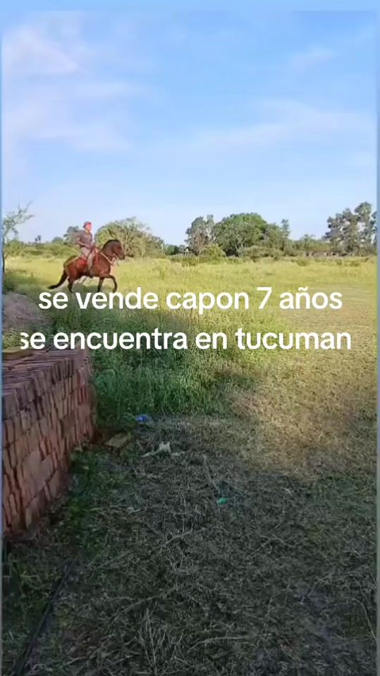 TikTok video thumbnail by www.tiktok.com.caballos7