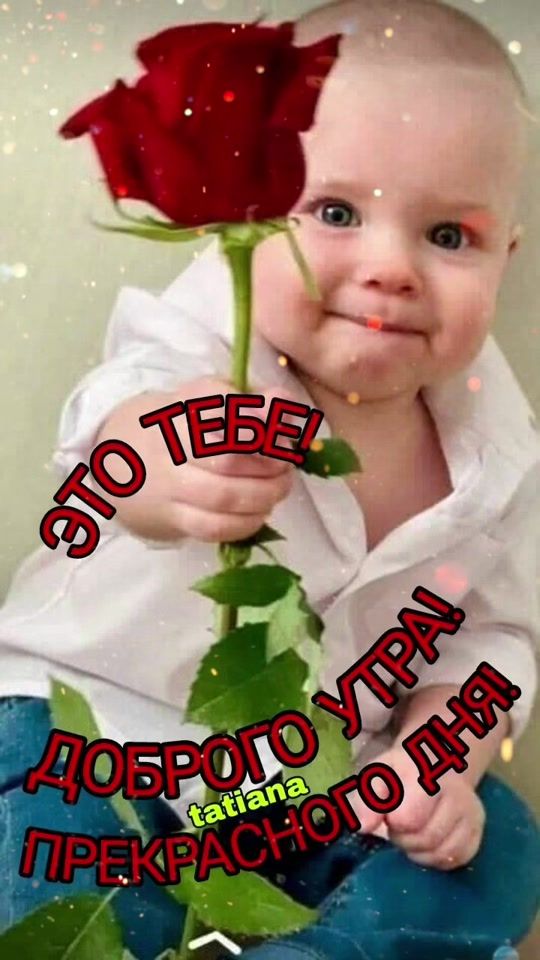 TikTok video thumbnail by vtekhinvadim