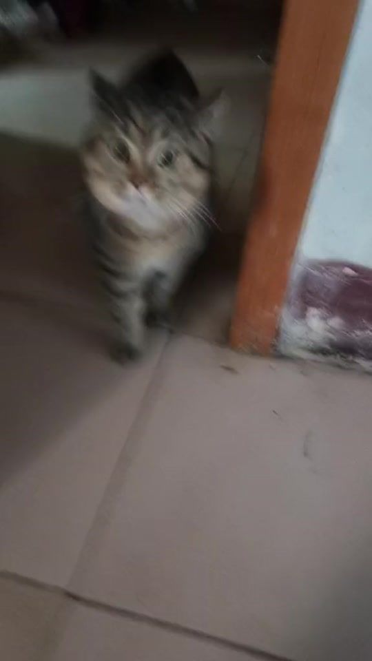 TikTok video thumbnail by sumyatzaw156
