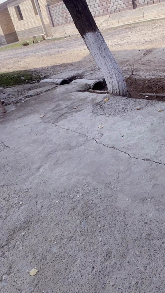 TikTok video thumbnail by _kadyrrovv