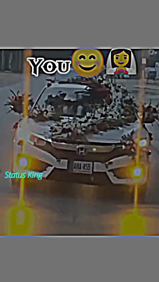 TikTok video thumbnail by status_advance_99