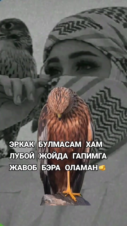 TikTok video thumbnail by mis_ledi236